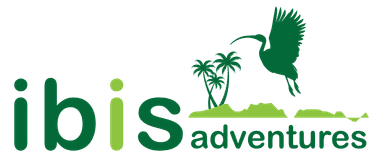 Ibis Adventures